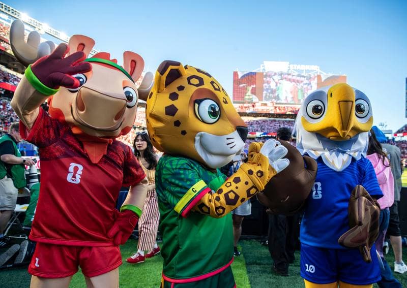 Football. FIFA World Cup 2026. Turkiye - Paraguay. 19.06.2026