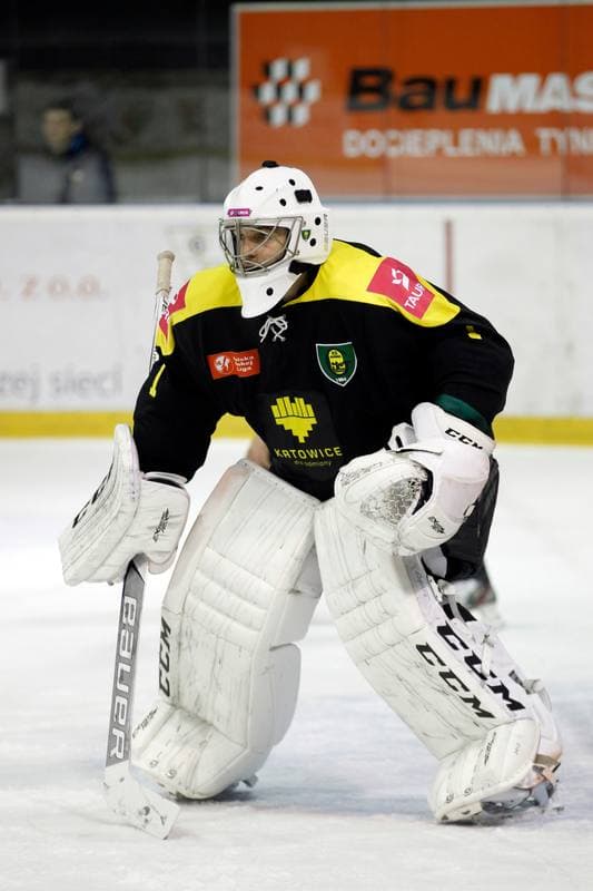 Ice Hockey. Tauron Hokej Liga. GKS Katowice - GKS Tychy. 25.11.2016