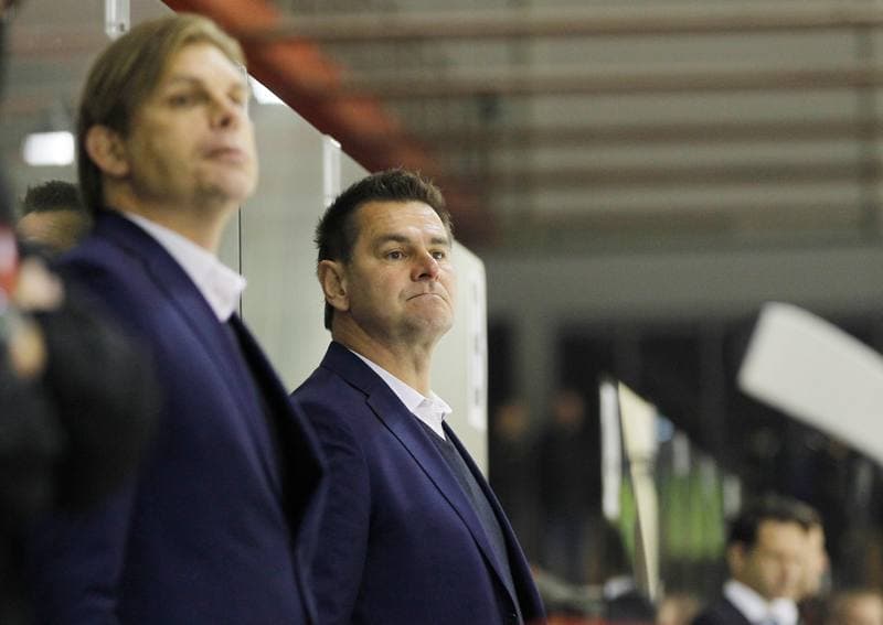 Ice Hockey. Euro Ice Hockey Challenge. Poland - Slovenia. 05.11.2015