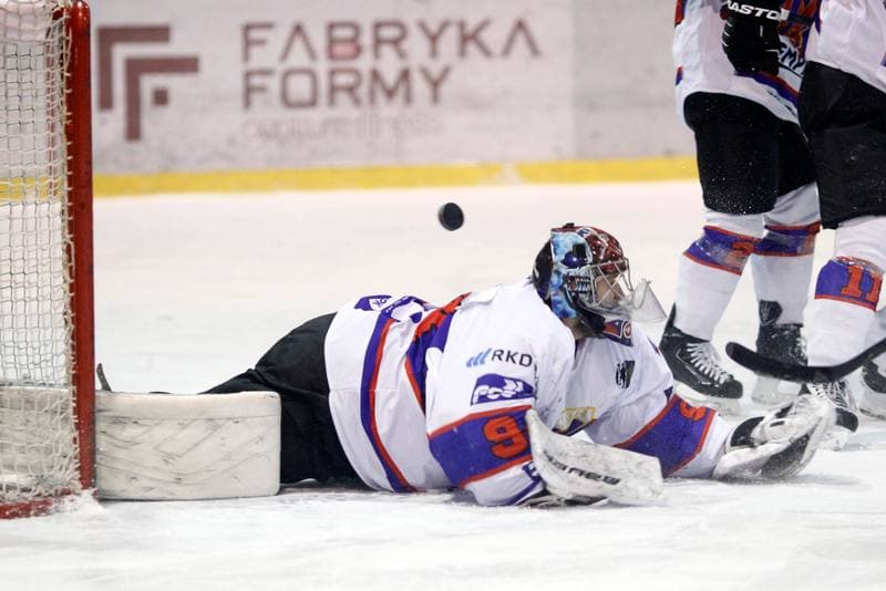 Ice Hockey. Polska Hokej Liga. Tempish Polonia Bytom - Podhale Nowy Targ. 29.01.2017