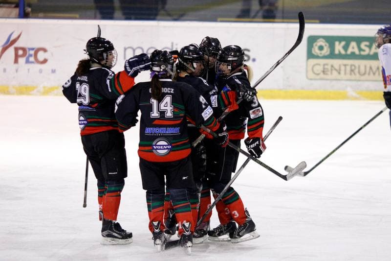 Ice Hockey. PLHK. Polonia Bytom - Atomowki Tychy. 27.01.2017