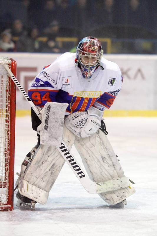 Ice Hockey. Polska Hokej Liga. Tempish Polonia Bytom - Orlik Opole. 03.02.2017