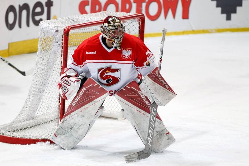 Ice Hockey. Euro Ice Hockey Challenge. Poland - Slovenia. 09.02.2017