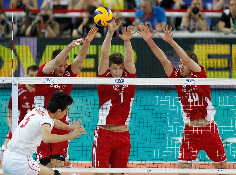Volleyball. FIVB World League. Poland - Iran. 06.06.2015