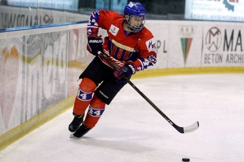 Ice Hockey. Polska Hokej Liga. GKS Tychy - Tempish Polonia Bytom. 07.03.2017