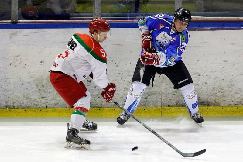 Ice Hockey. I Liga. Zaglebie Sosnowiec - UKH Debica. 18.02.2017