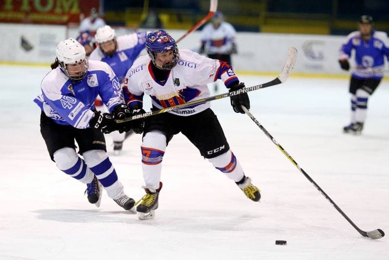 Ice Hockey. PLHK. Polonia Bytom - Stoczniowiec Gdansk. 18.03.2017