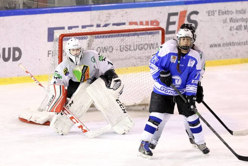 Ice Hockey. PLHK. Naprzod Janow - Stoczniowiec Gdansk. 25.02.2017