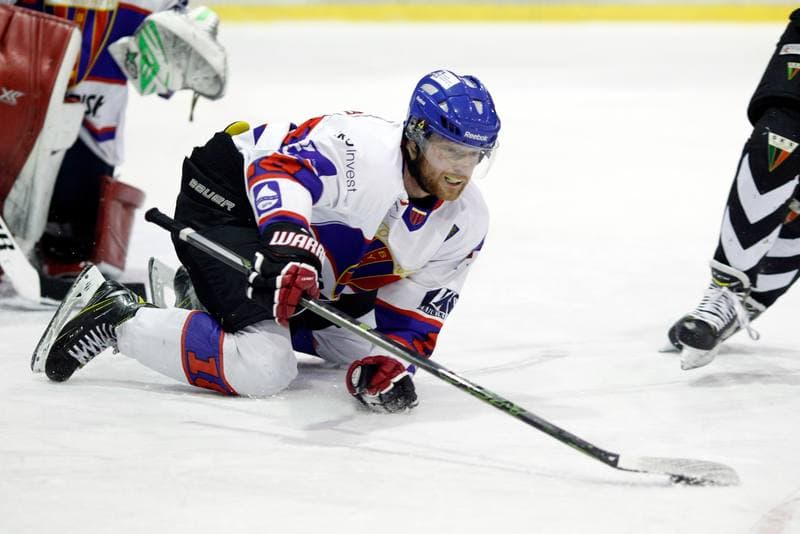 Ice Hockey. Polska Hokej Liga. Tempish Polonia Bytom - GKS Tychy. 11.03.2017