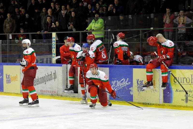 Ice Hockey. I Liga. Naprzod Janow - Zaglebie Sosnowiec. 12.03.2017