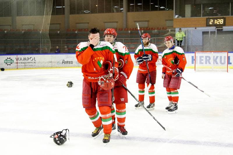 Ice Hockey. I Liga. Naprzod Janow - Zaglebie Sosnowiec. 12.03.2017