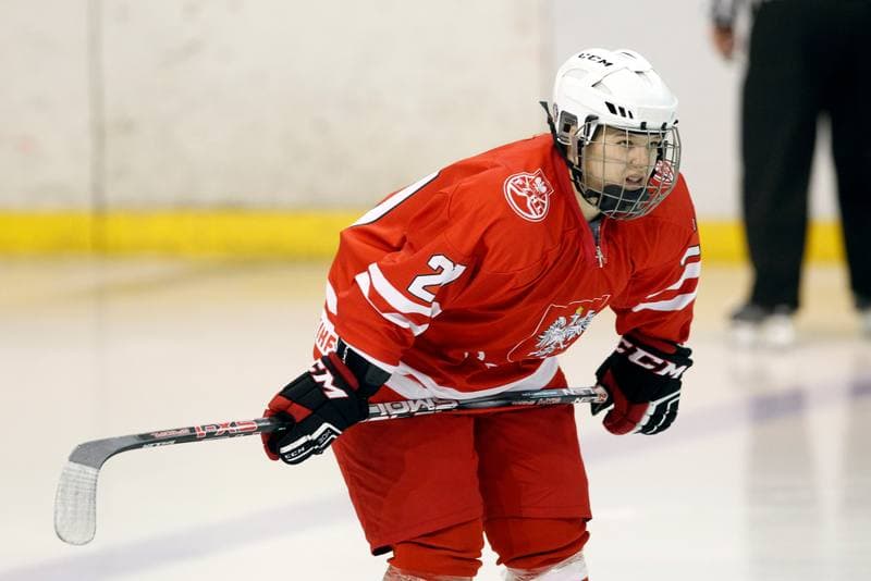 Ice Hockey. Women's Friendly Match. Poland - Ontario. 04.04.2017