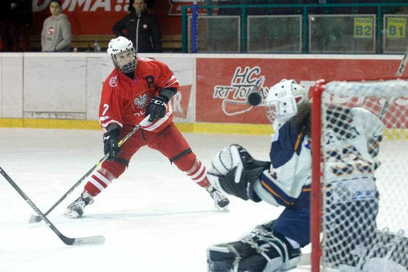 Ice Hockey. Women's Friendly Match. Poland - Ontario. 04.04.2017