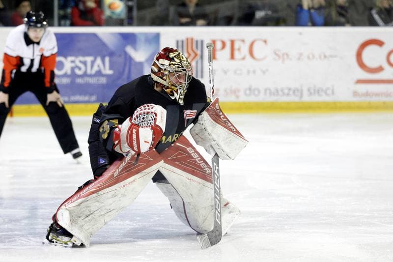 Ice Hockey. Polska Hokej Liga. GKS Tychy - Comarch Cracovia. 22.03.2017