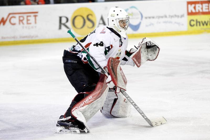 Ice Hockey. Polska Hokej Liga. GKS Tychy - Comarch Cracovia. 29.03.2017