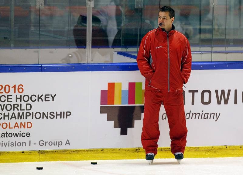 Ice Hockey. Poland national team. Training. 04.11.2015