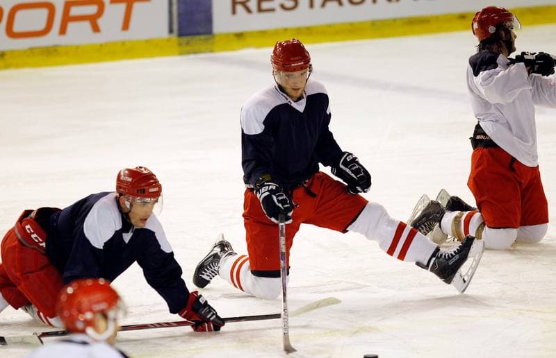Ice Hockey. Poland national team. Training. 04.11.2015