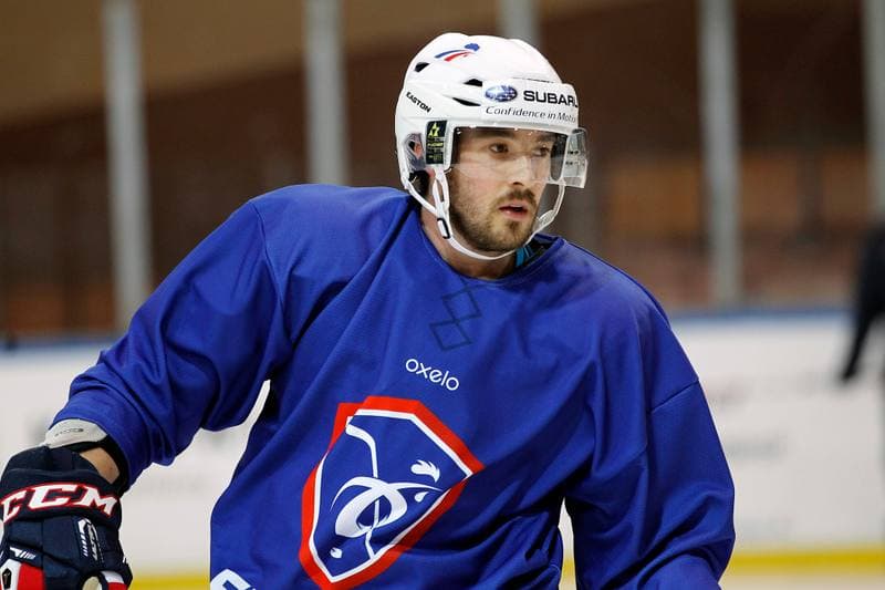 Ice Hockey. France. Training. 15.12.2015