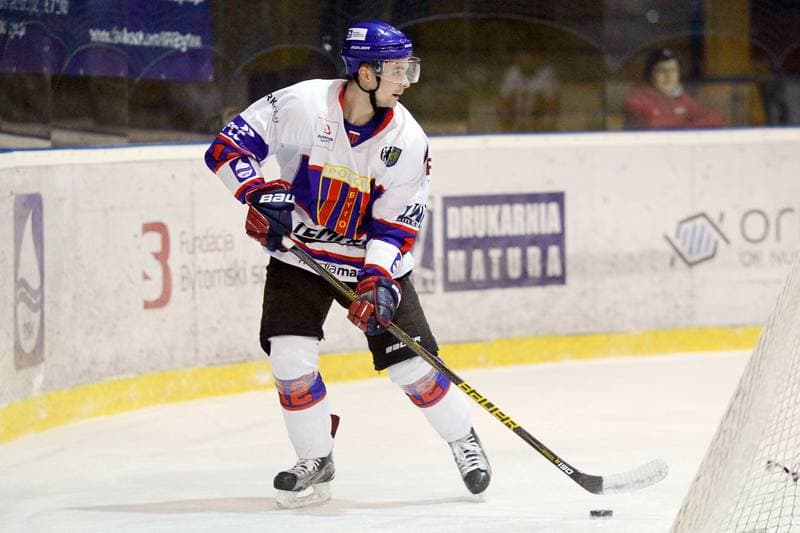 Ice Hockey. Polska Hokej Liga. Tempish Polonia Bytom - JKH GKS Jastrzebie. 20.01.2017