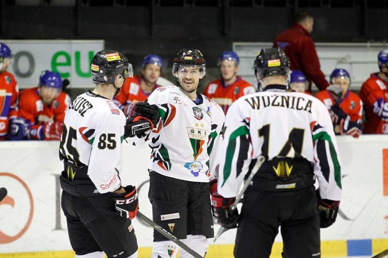 Ice Hockey. Polska Hokej Liga. GKS Tychy - Tempish Polonia Bytom. 22.01.2017