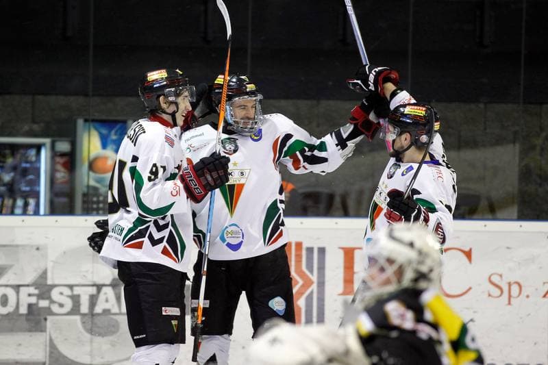 Ice Hockey. Polska Hokej Liga. GKS Tychy - JKH GKS Jastrzebie. 17.02.2017