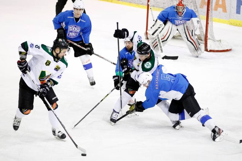 Ice Hockey. I Liga. Naprzod Janow - Hokej Poznan. 18.02.2017