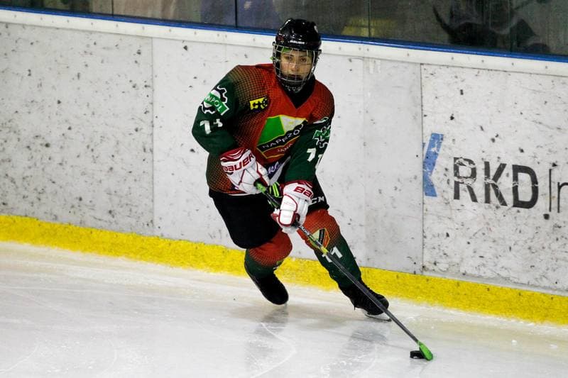 Ice Hockey. PLHK. Polonia Bytom - Naprzod Janow. 21.10.2017