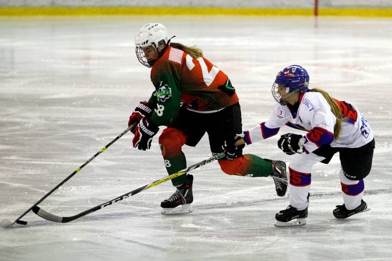 Ice Hockey. PLHK. Polonia Bytom - Naprzod Janow. 21.10.2017