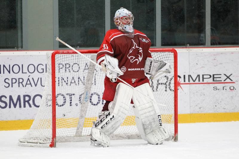 Ice Hockey. WSM Liga. HC Frydek-Mistek - Dukla Jihlava. 02.03.2017