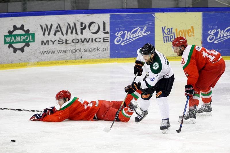 Ice Hockey. I Liga. Naprzod Janow - Zaglebie Sosnowiec. 12.03.2017