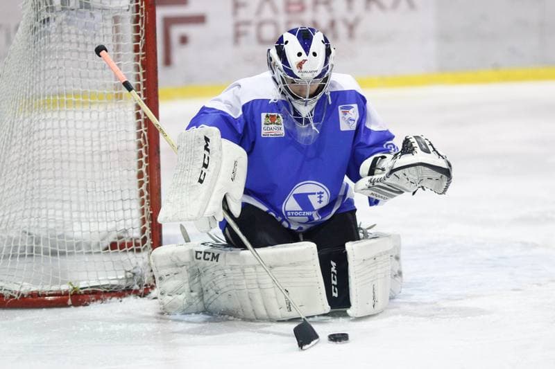 Ice Hockey. PLHK. Polonia Bytom - Stoczniowiec Gdansk. 18.03.2017