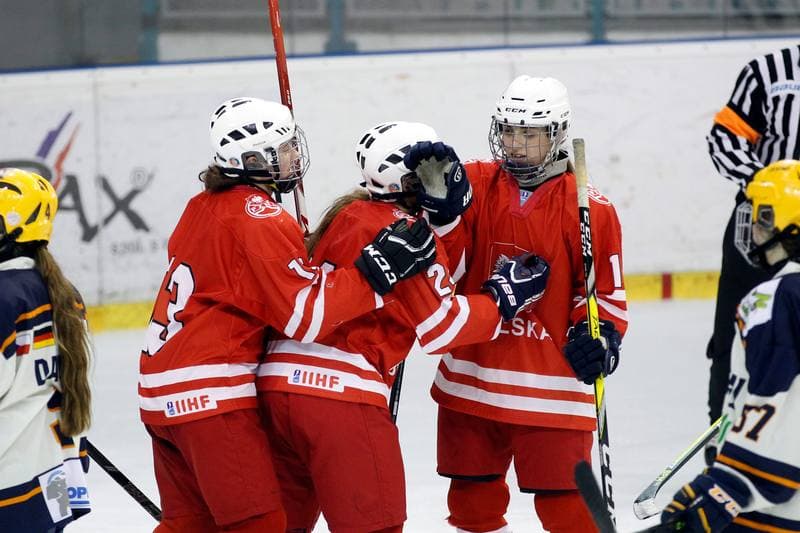 Ice Hockey. Women's Friendly Match. Poland - Ontario. 04.04.2017