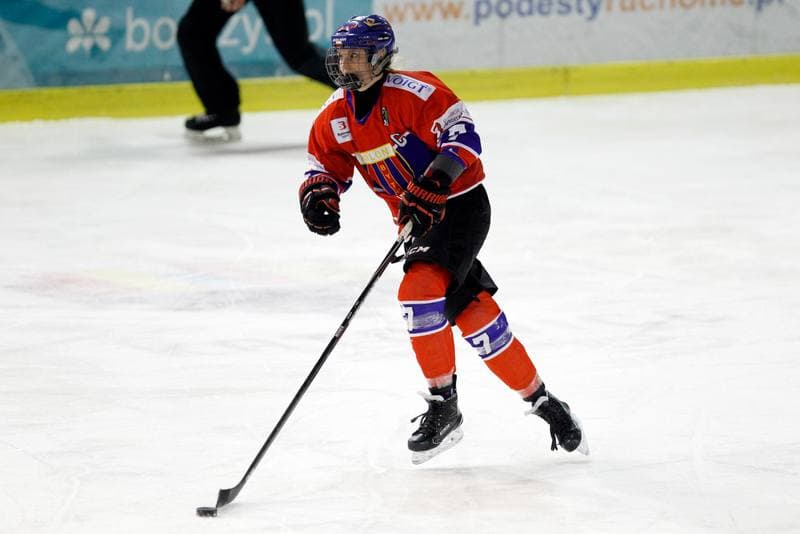 Ice Hockey. PLHK. Naprzod Janow - Polonia Bytom. 18.01.2018