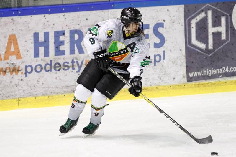 Ice Hockey. PLHK. Naprzod Janow - Polonia Bytom. 18.01.2018