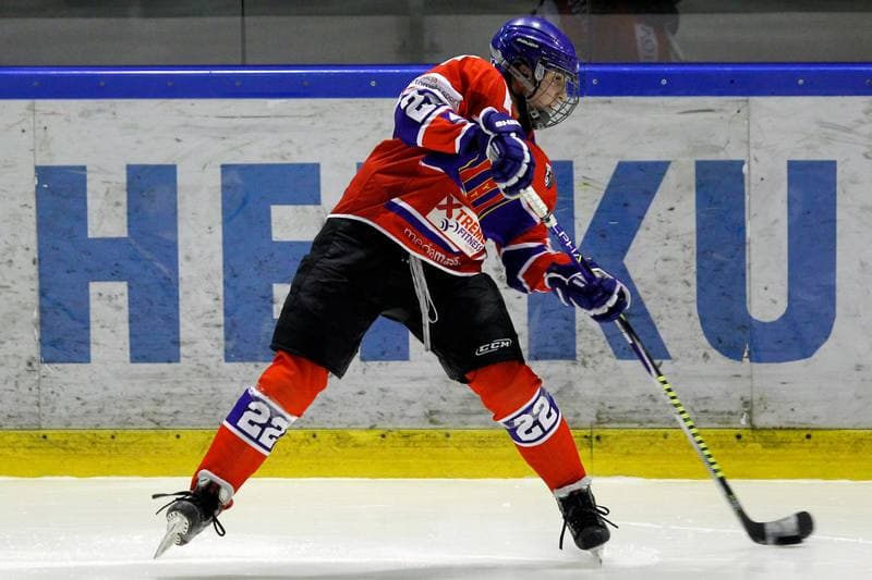 Ice Hockey. PLHK. Naprzod Janow - Polonia Bytom. 18.01.2018