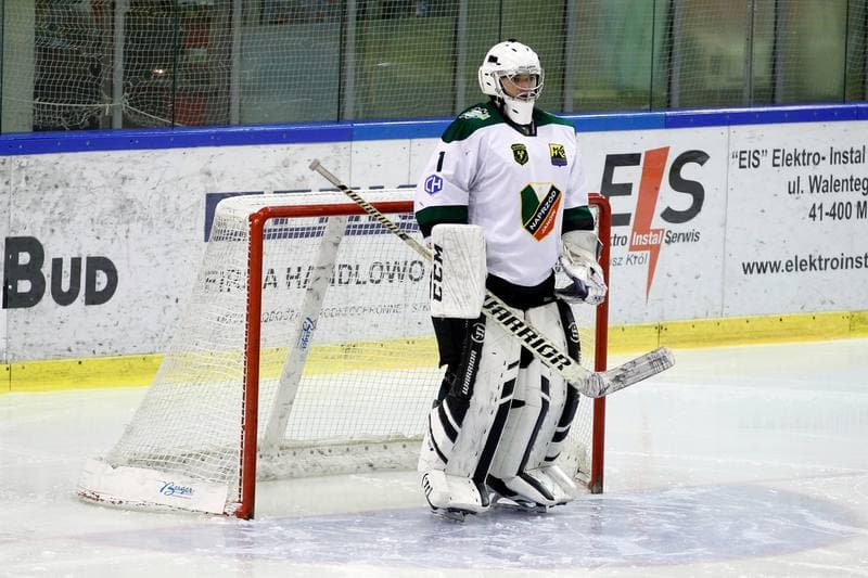 Ice Hockey. Polska Hokej Liga. Anteo Naprzod Janow - Polonia Bytom. 30.01.2018