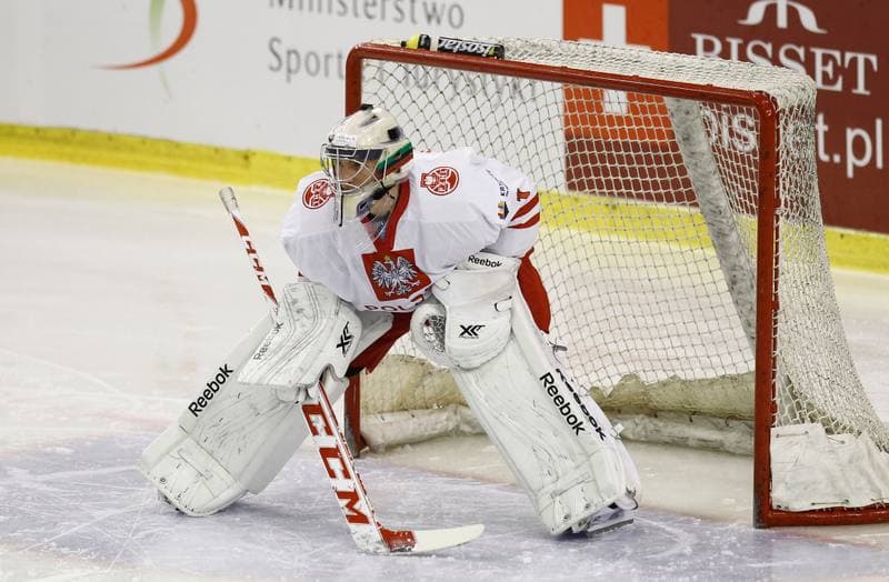 Ice Hockey. Euro Ice Hockey Challenge. Poland - Slovenia. 05.11.2015