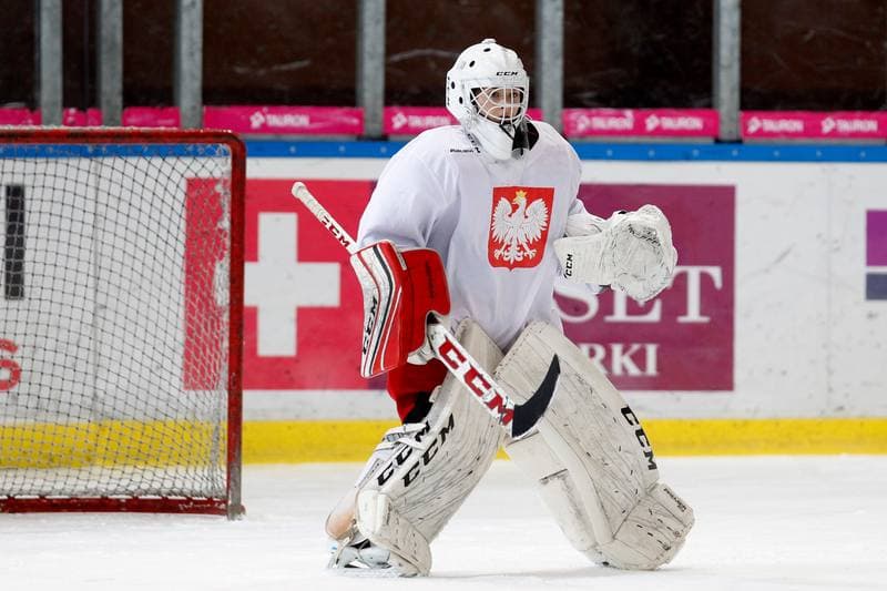 Ice Hockey. Poland national team. Training. 15.02.2018