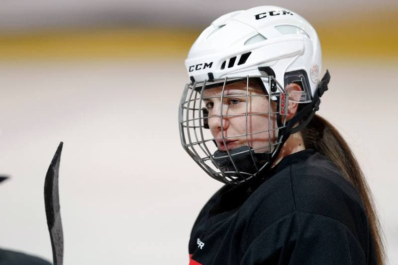 Ice Hockey. Poland national team. Training. 15.02.2018