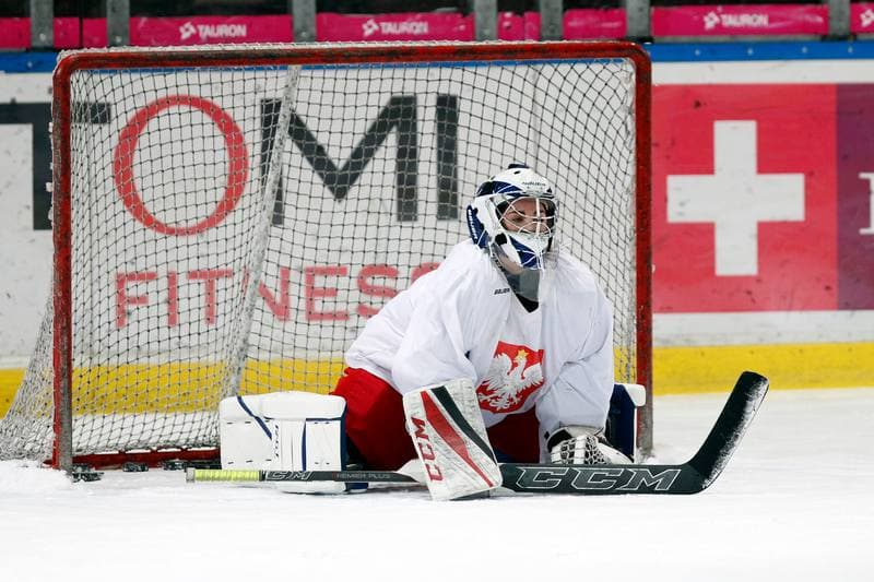 Ice Hockey. Poland national team. Training. 15.02.2018