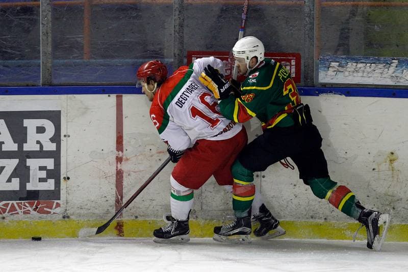 Ice Hockey. I Liga. Zaglebie Sosnowiec - Academy 1928 KTH Krynica. 10.02.2018
