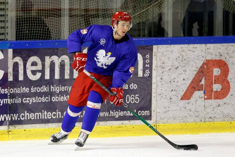 Ice Hockey. Poland national team. Training. 13.02.2018