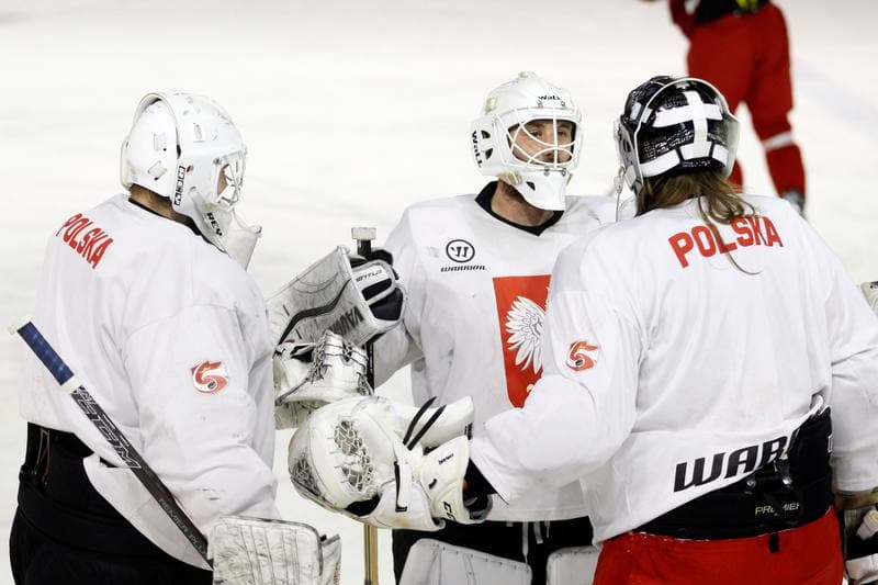 Ice Hockey. Poland national team. Training. 13.02.2018