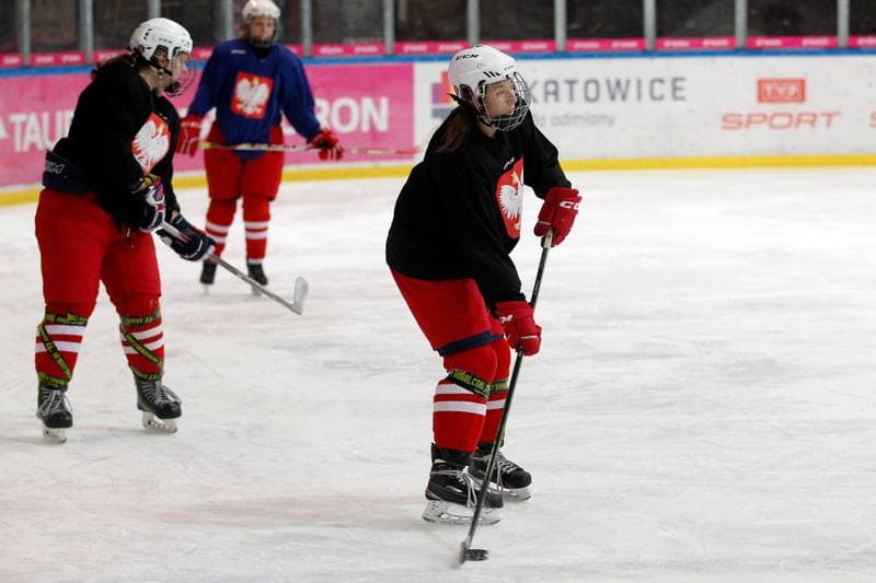 Ice Hockey. Poland national team. Training. 15.02.2018