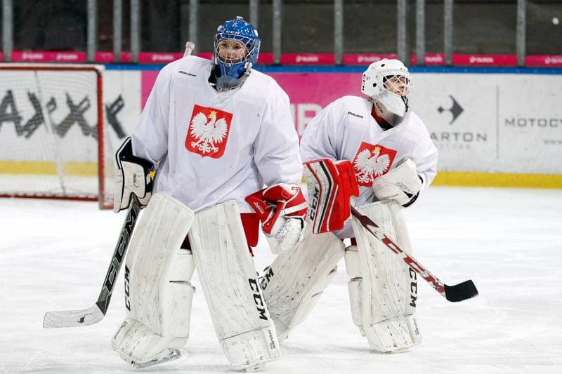 Ice Hockey. Poland national team. Training. 15.02.2018