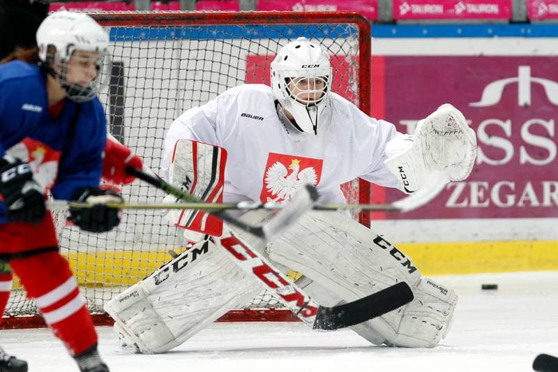 Ice Hockey. Poland national team. Training. 15.02.2018