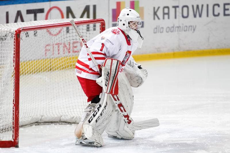 Ice Hockey. TCN. Poland - Latvia. 17.02.2018