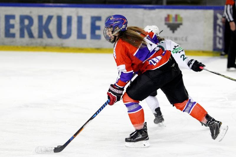 Ice Hockey. PLHK. Naprzod Janow - Polonia Bytom. 24.02.2018
