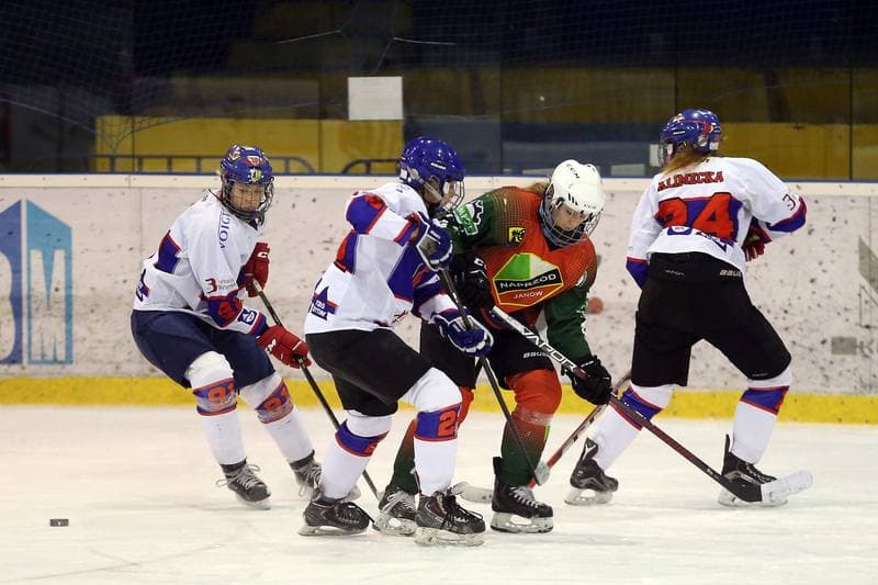 Ice Hockey. PLHK. Polonia Bytom - Naprzod Janow. 03.03.2018