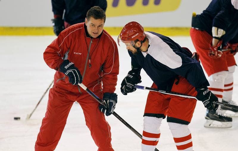 Ice Hockey. Poland national team. Training. 04.11.2015